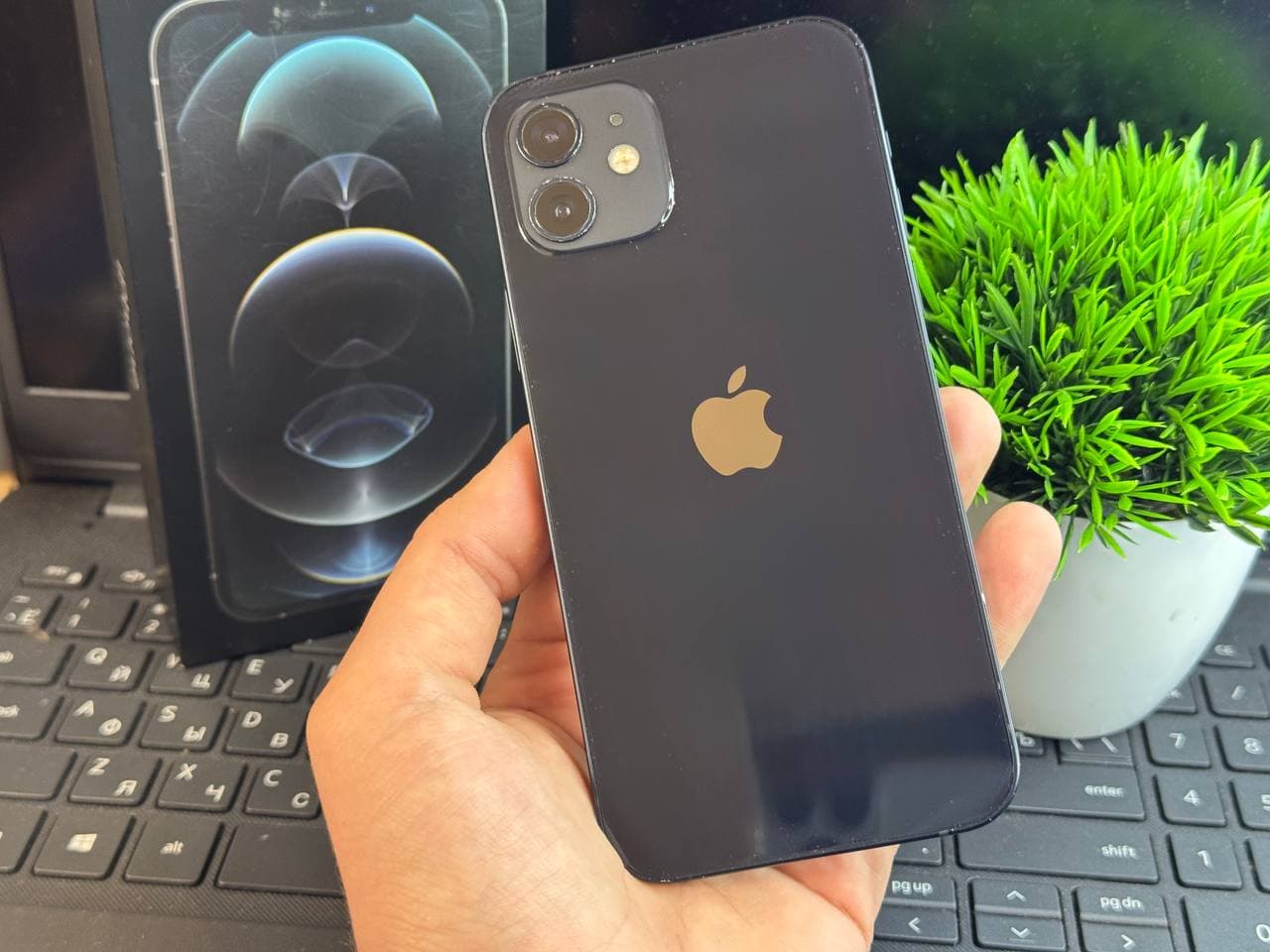 iPhone 12 128gb купить в Саранске фото