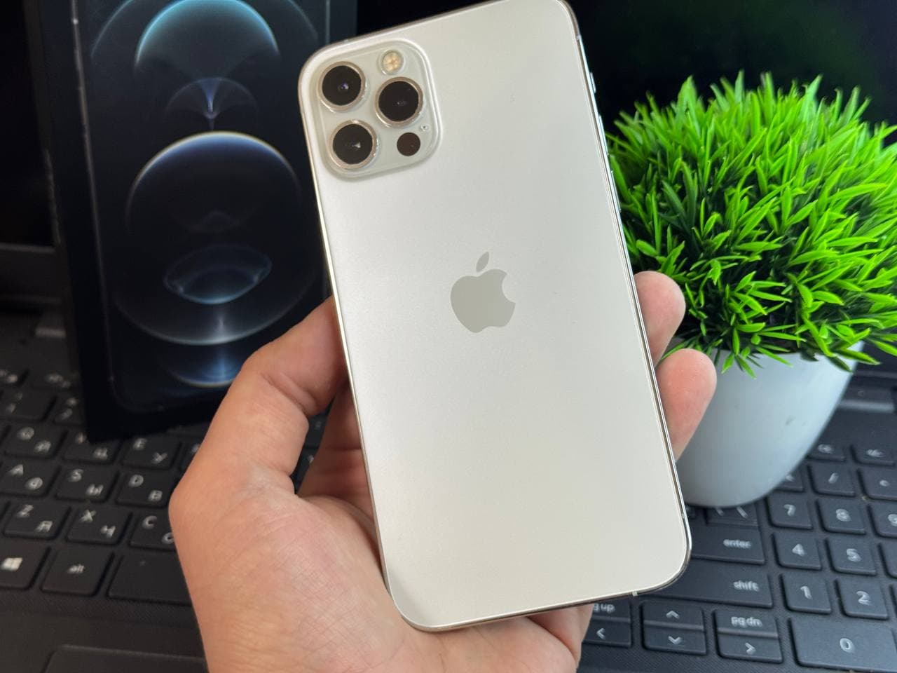 iPhone 12 Pro 256gb купить в Саранске фото